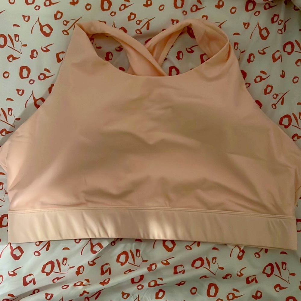 Fabletics pants and bra set